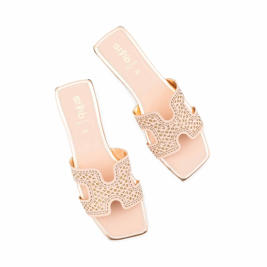 Fawn Casual Women Slipper CL2198