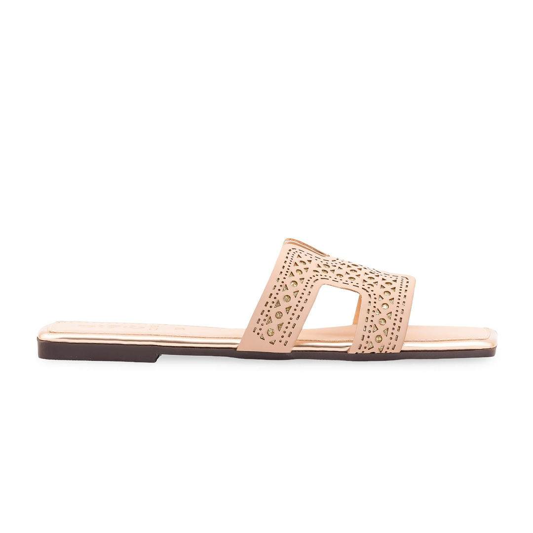 Fawn Casual Women Slipper CL2198