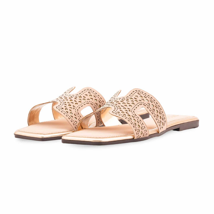 Fawn Casual Women Slipper CL2198