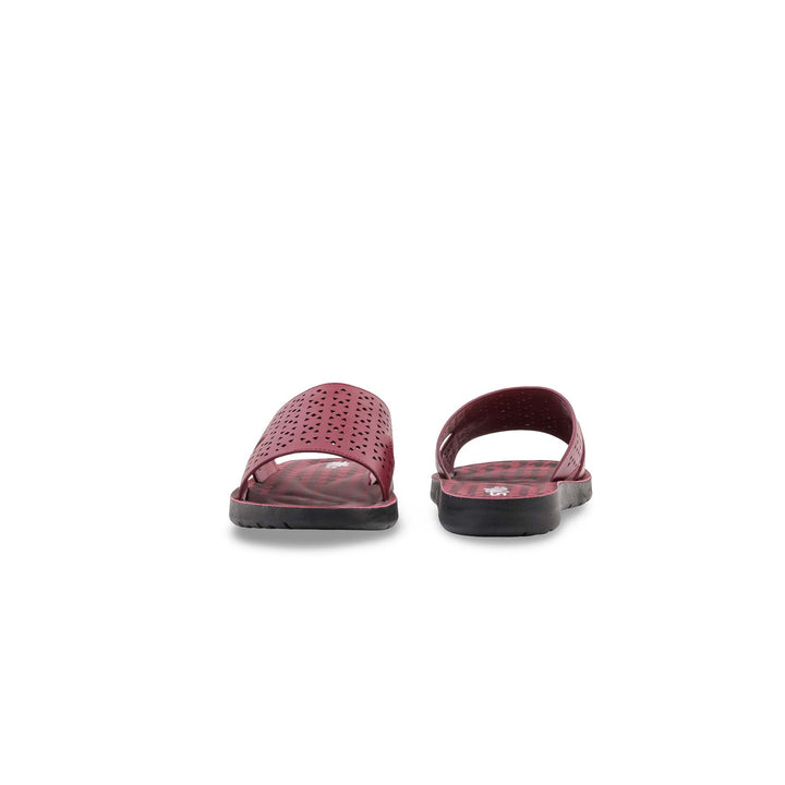 Maroon Casual Softy For Women CL5653