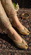 PISTAGREEN Leather Khussa For Women EC8764