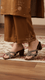 Brown Fancy Slipper For Women FN8103