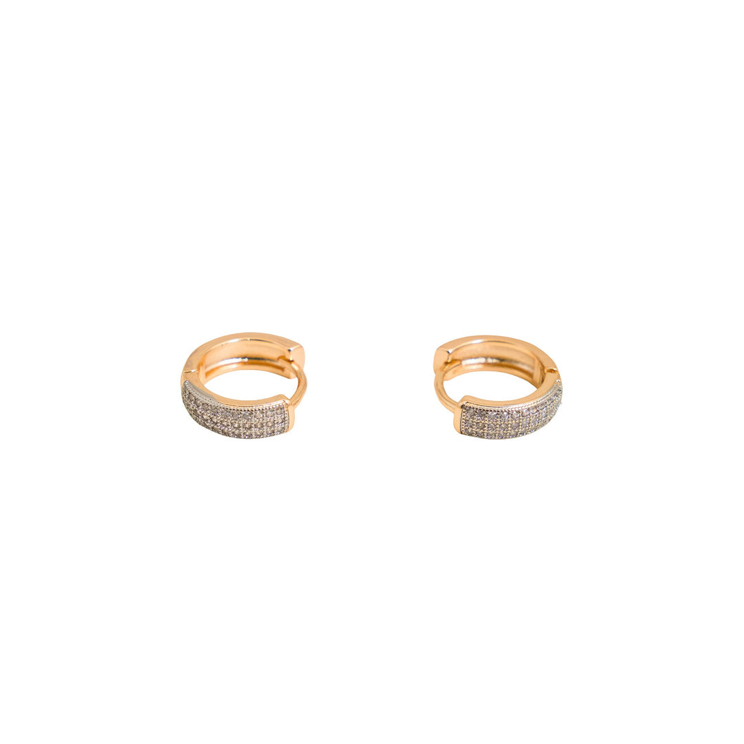 Earrings- J0608974