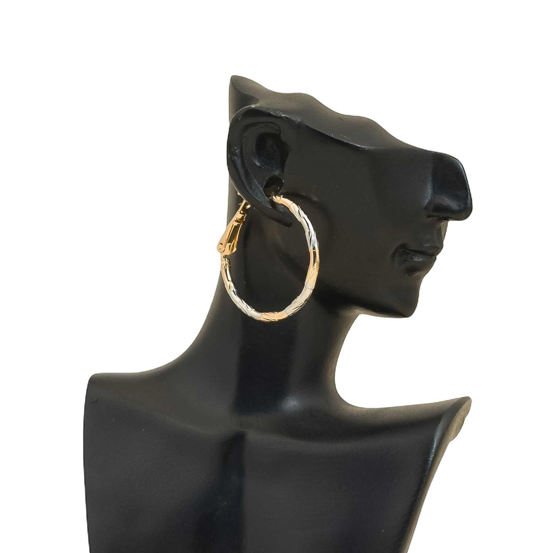 Earrings- J0610474