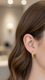 Earrings- J0616415