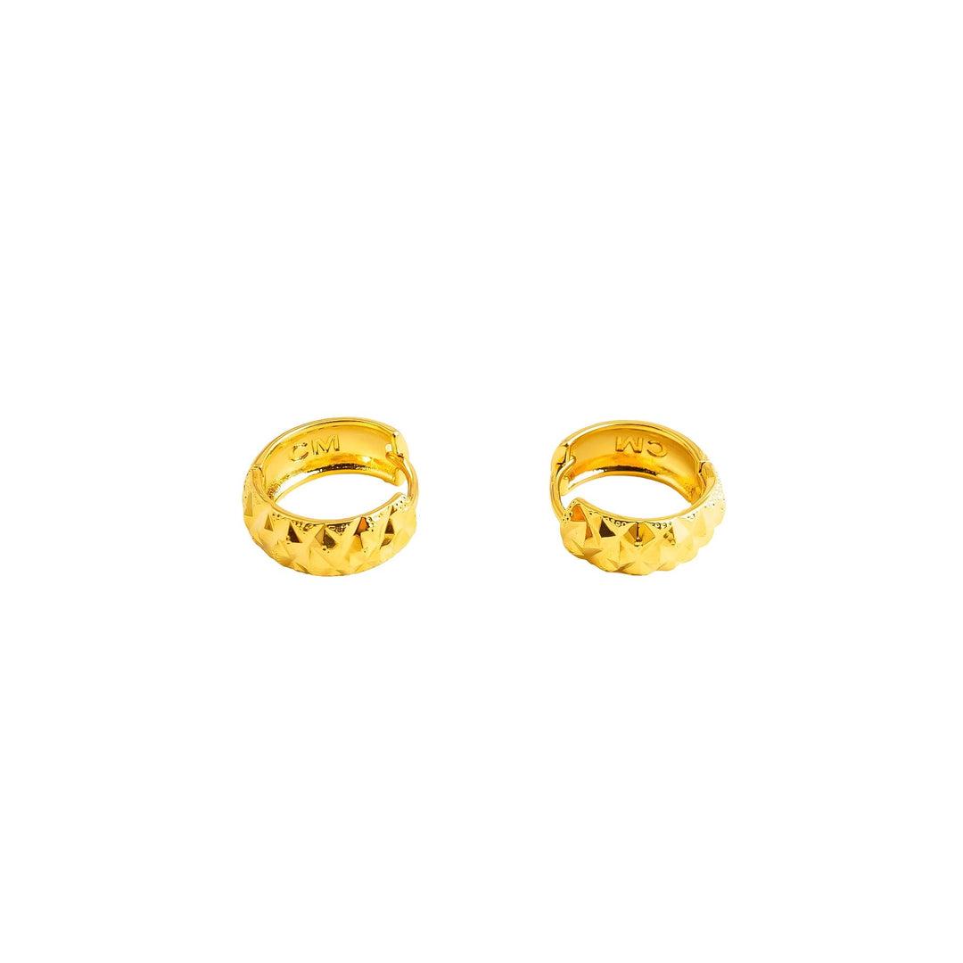 Earrings- J0617015