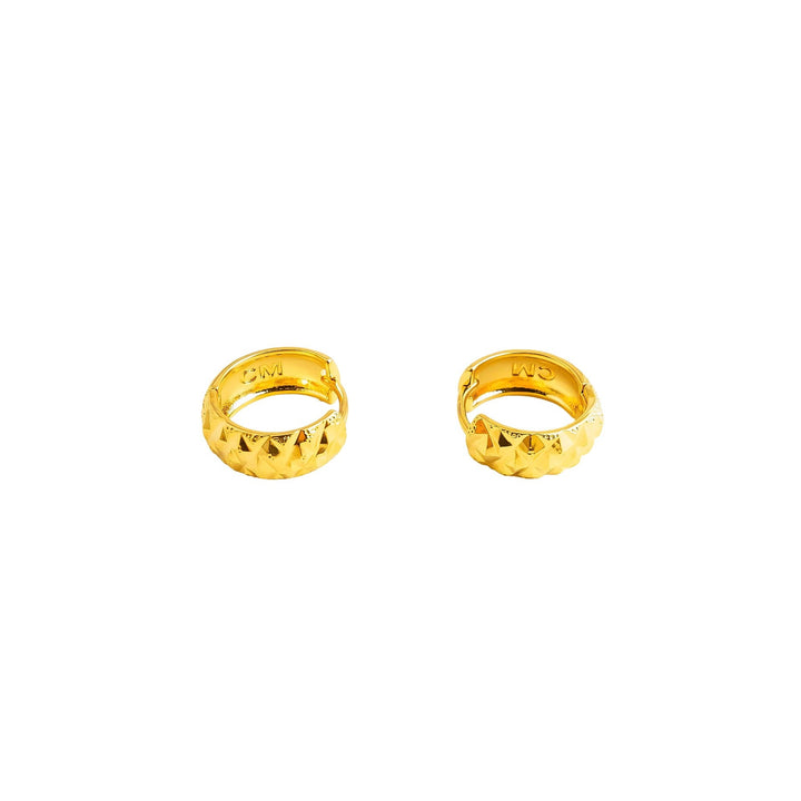 Earrings- J0617015