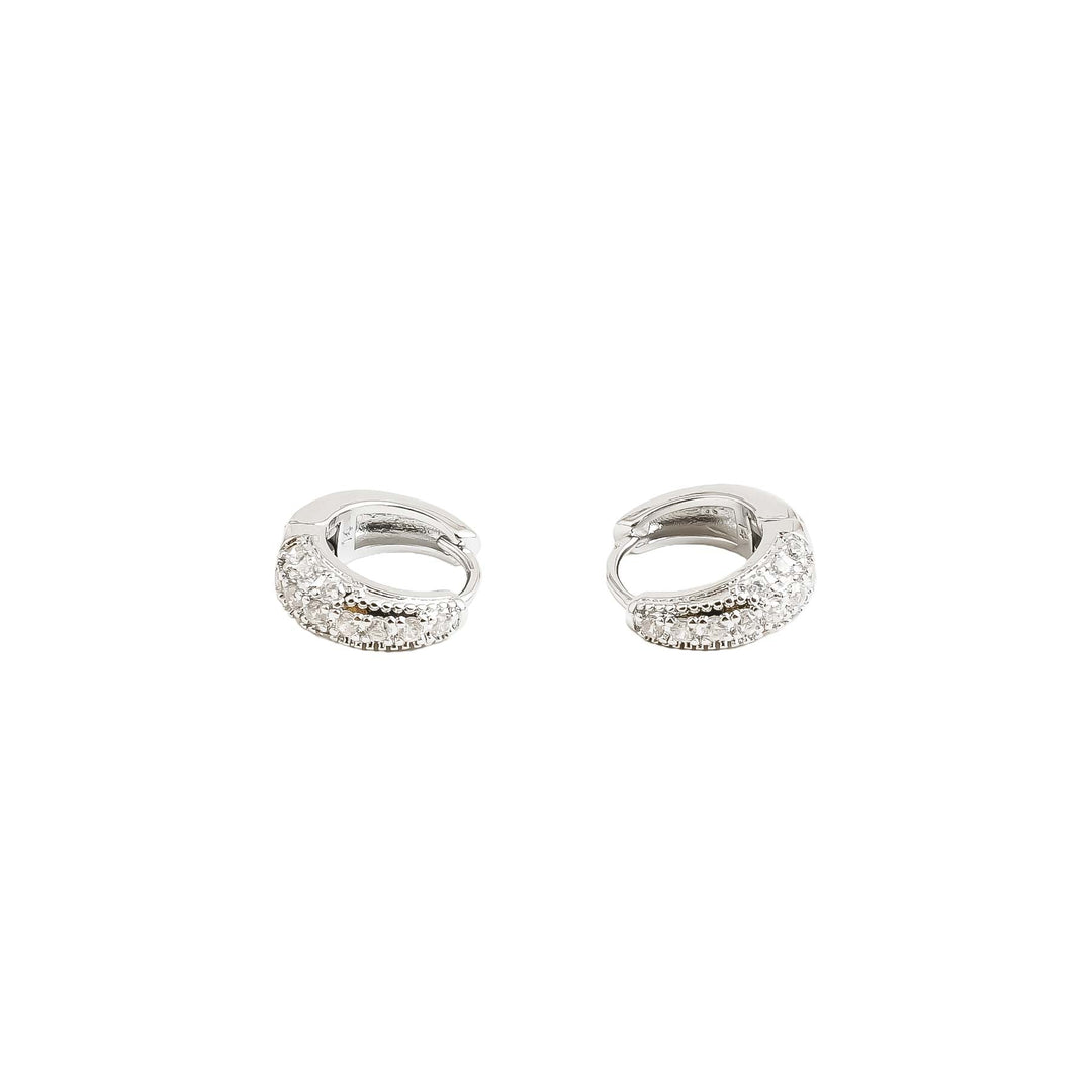 Earrings- J0618016