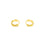 Earrings -J0621015
