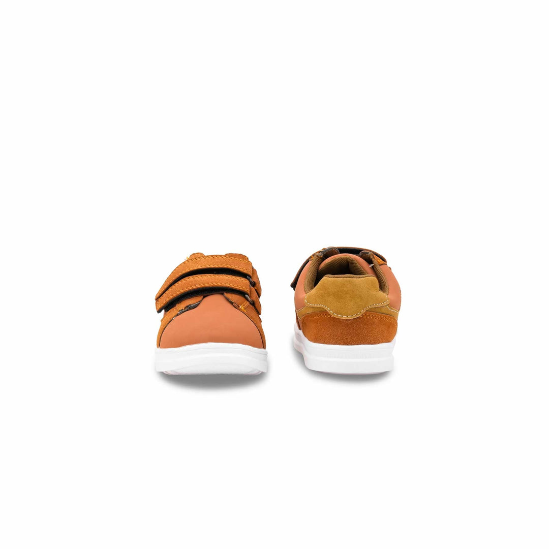 Boys Brown Casual Jogger KD8162