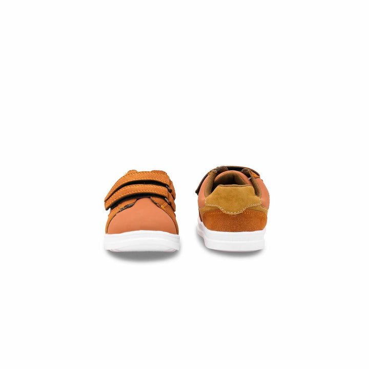 Boys Brown Casual Jogger KD8162