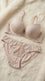 Multy Padded Bra For Women LB2019