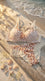 Off/White Padded Bra Set For Women LB2077