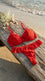 Red Padded Bra Set For Women LB2078