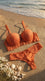 Red Push-Up Bra Set For Ladies LB2083