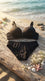 Black Padded Bra Set For Women LB2084
