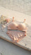Nude Pink Padded Bra Set For Women LB2084