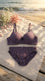 Purple Push-Up Bra Set For Women LB2091