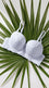 White Cotton Padded Bra For Women LB5003