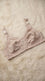 Skin Basic Cotton Bra For Women LB5039