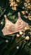 Skin Basic Cotton Bra For Women LB5043