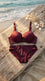 Red Padded Bra Set For Women LB5445