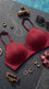 Maroon T Shirt Bra For Women LB5463