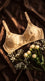 Skin Cotton Bra For Women LB5477