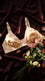 Skin Feeding Bra For Women LM0014