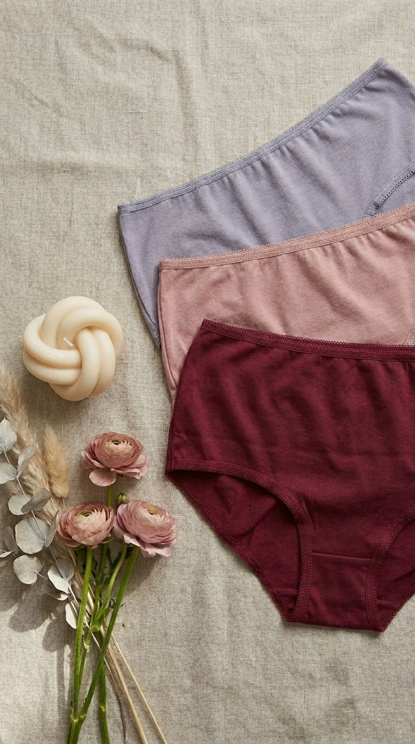 Multy Pack Of Three Panties LP0024