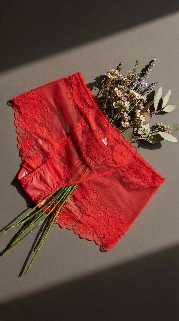 Multy Brief Pantie For Women LP5082