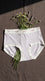 Multy Brief Pantie For Women LP5149