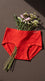 Multy Brief Pantie For Women LP5152