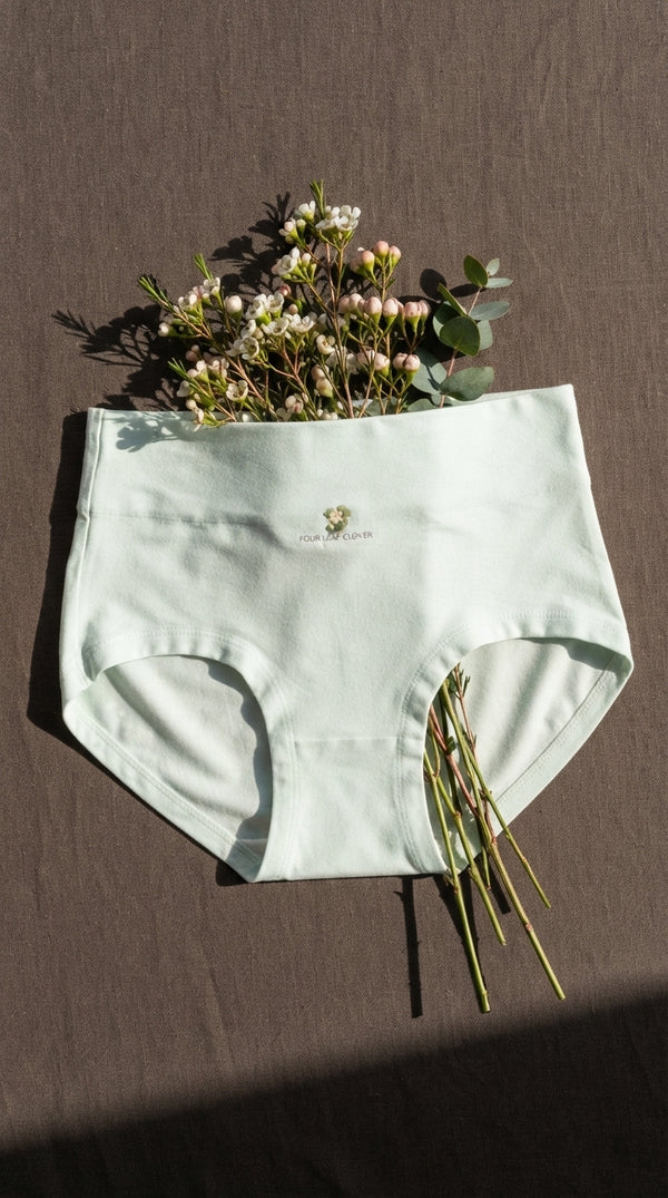 Multy Brief Pantie For Women LP5155