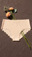 Multy Full Brief Pantie For Women LP5160