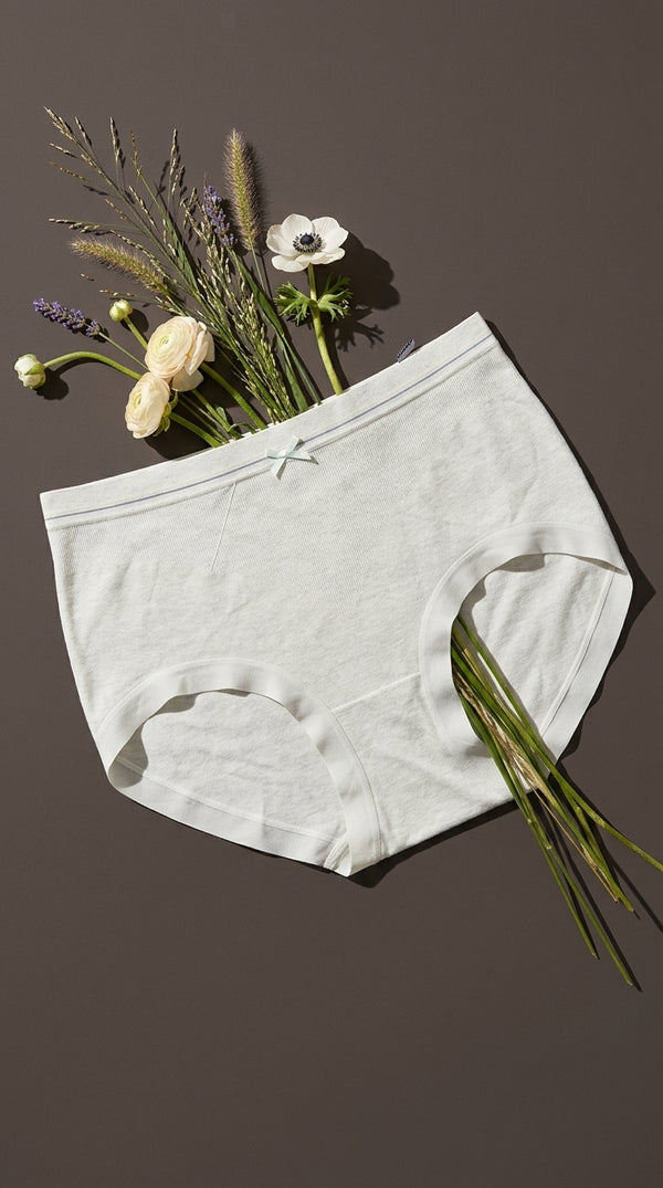 Blue Brief Pantie For Women LP5163