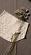 Coffee Brief Pantie For Women LP5163