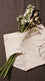 Coffee Brief Pantie For Women LP5180