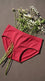 Maroon Brief Pantie For Women LP5346