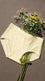 Multy Seamless Pantie For Women LP5351