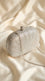 Silver Bridal Clutch P24563