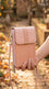 Champagne Casual Pouch For Women P97746