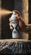WISE MEN Body Spray For Men PR3003