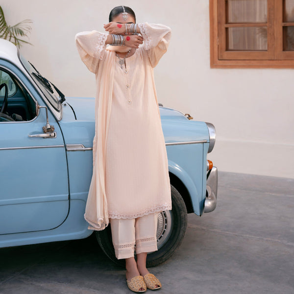 2PC- Chiffon Zari Suit PS5076