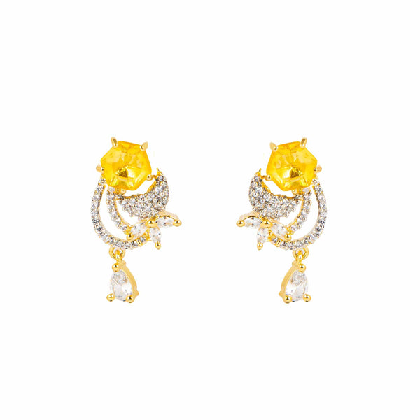 Earrings- T0446574