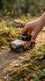 Dinky For Kids T7005262