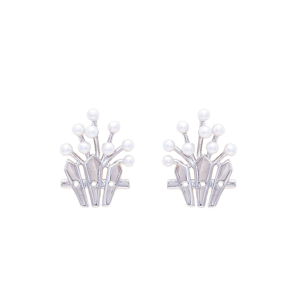 Earrings-J0502116