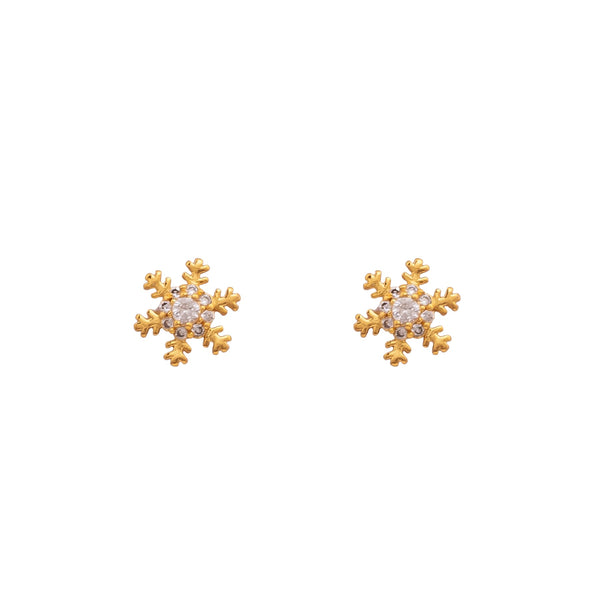 Earrings- J0579315