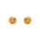 Earrings- T0095511